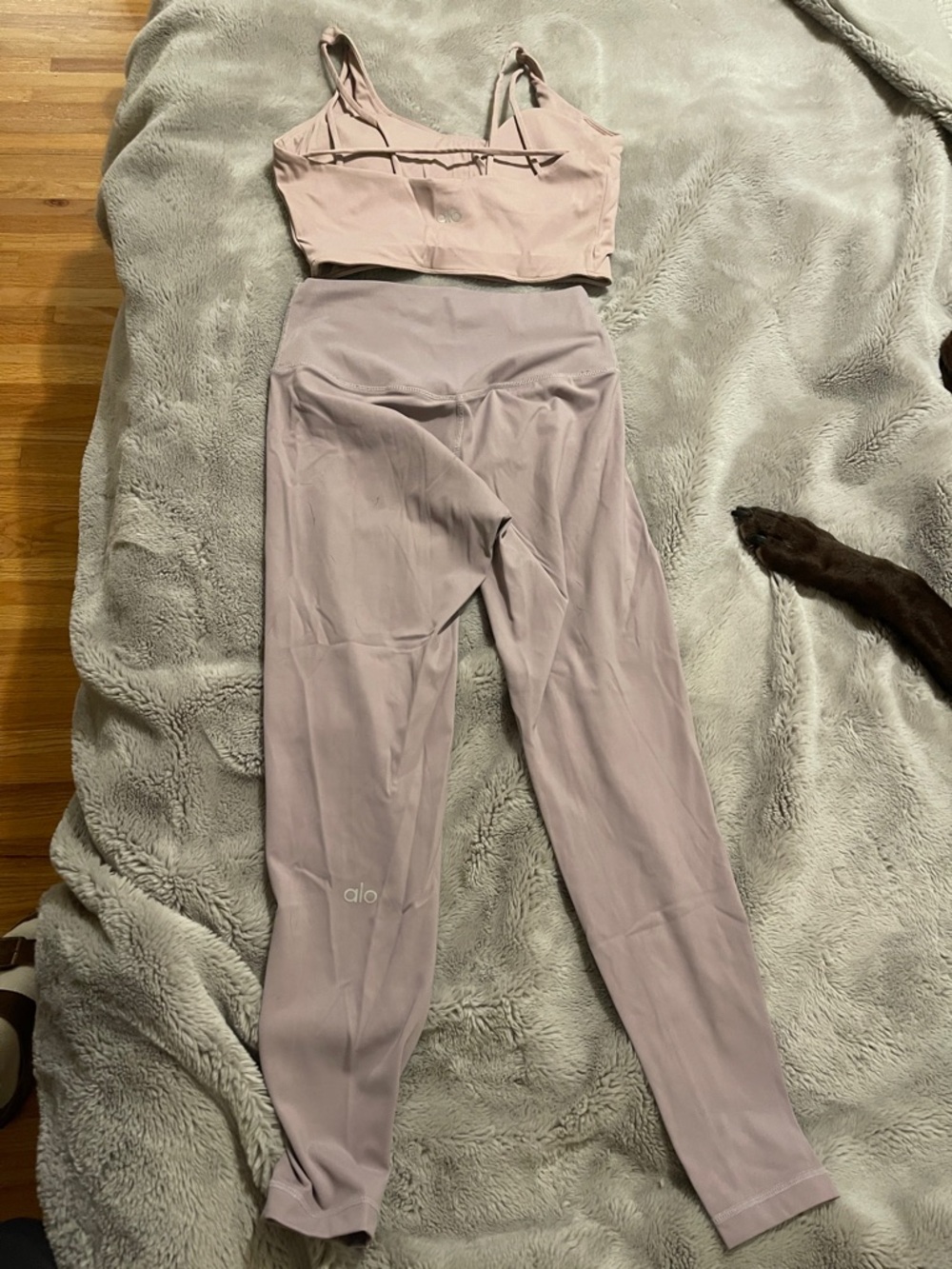 ALO Yoga Mauve Pink High-Waist Leggings & Matching Bralette Set